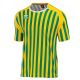 Errea Maglia Swindon Giallo-verde